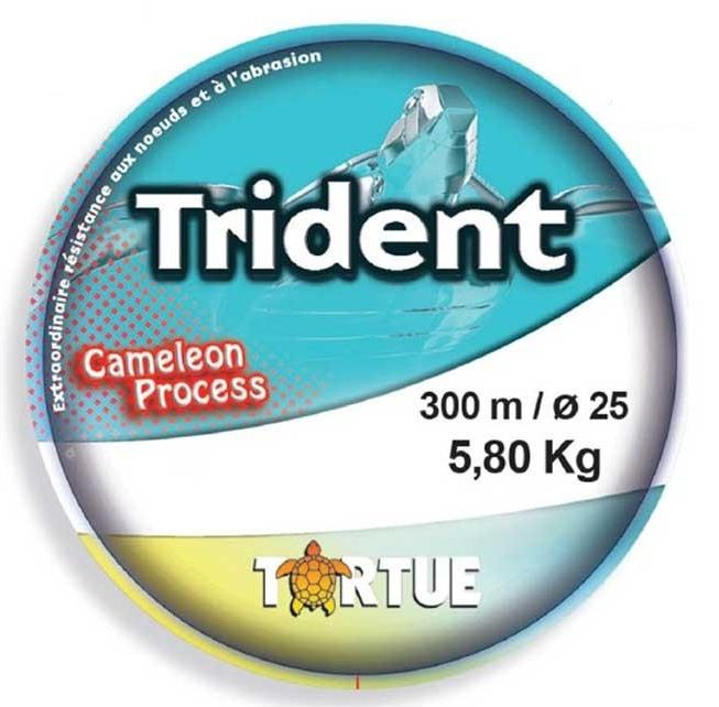 Filo nylon da pesca Tridente 300 m -  - Tutti i sport nautici