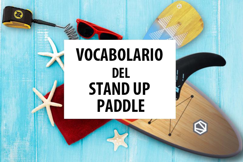 Iniziare a Praticare lo Stand Up Paddle: Domande e Risposte su Tutto Quello  che C'è da Sapere -  - Tutti i sport nautici